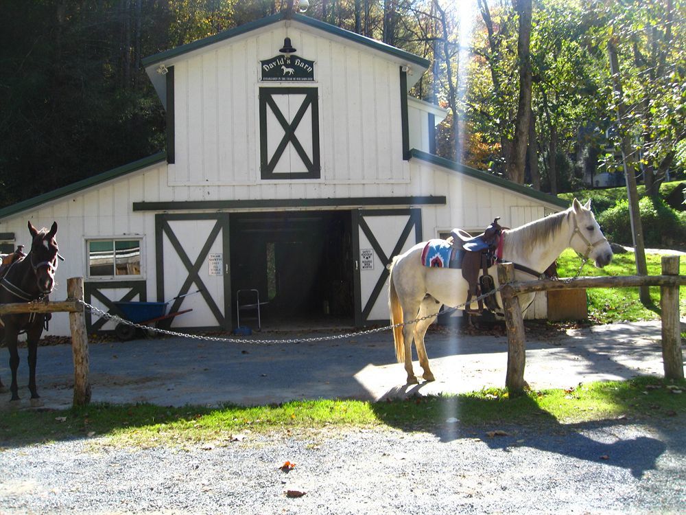 Valle Crucis Farm מראה חיצוני תמונה